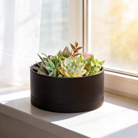 D'vine Dev planter with detachable saucer and seamless design for modern spaces.
