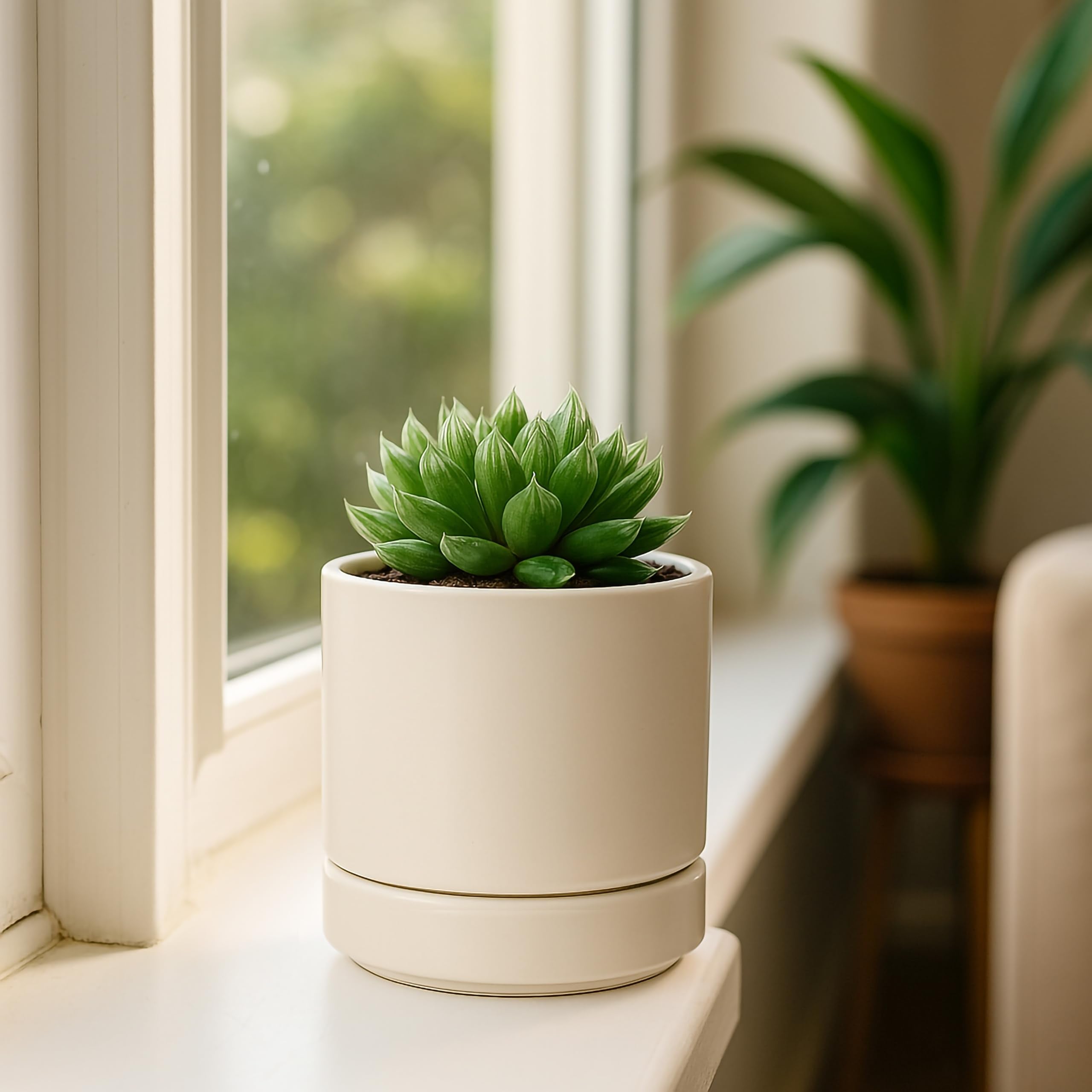 D'vine Dev oatmeal planter side view highlights compact cylindrical design.