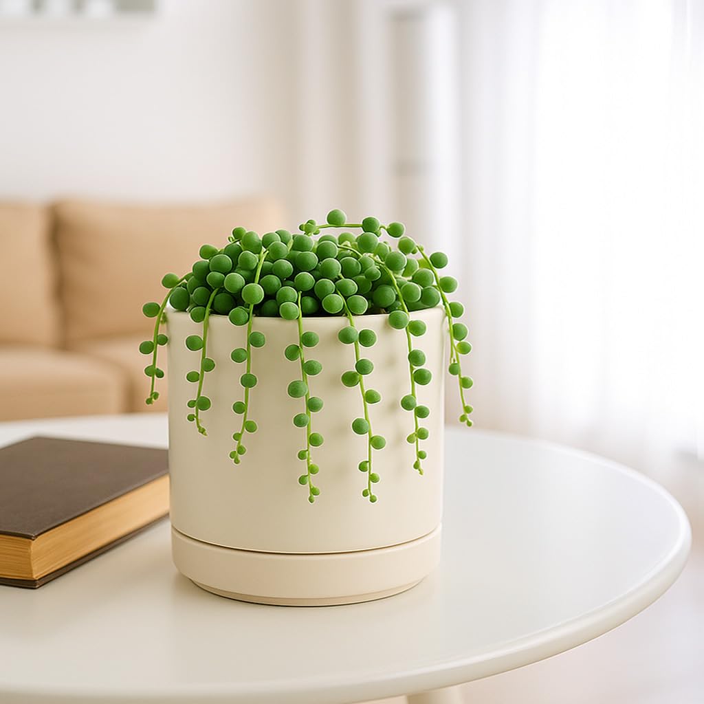 D'vine Dev planter includes protective scratch pad for surface care.