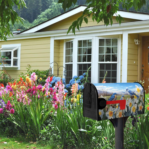 Dacawin weather-ready wrap for durable outdoor mailbox display