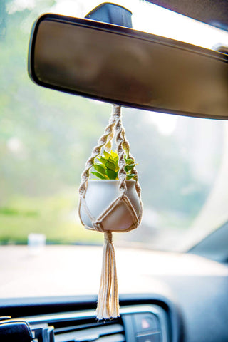 Dahey clay pots with faux plants provide compact plant display you can admire up close.