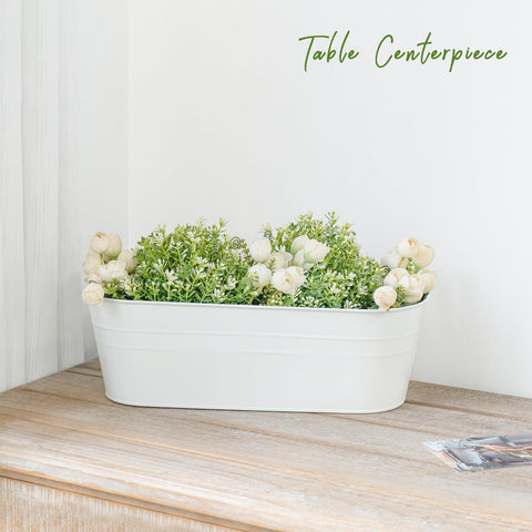 Dahey desktop-friendly hanging planter for indoor use