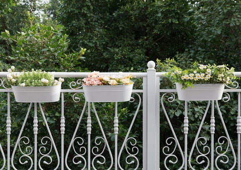 Dahey detachable hooks for hanging planter setup