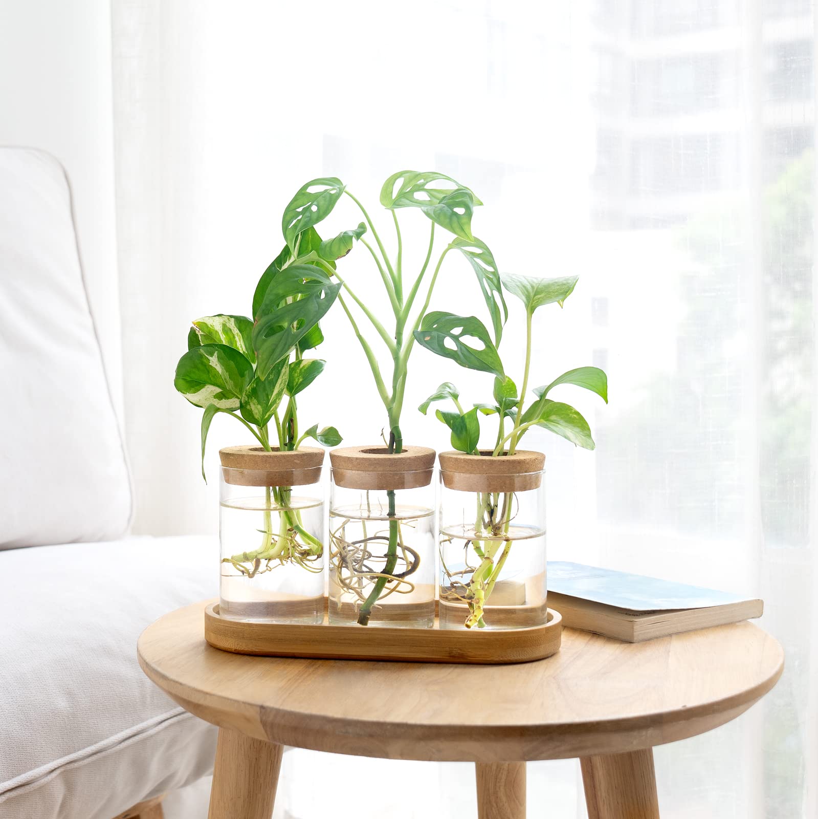 Dahey gift-ready propagation station ideal as a thoughtful plant lover gift.
