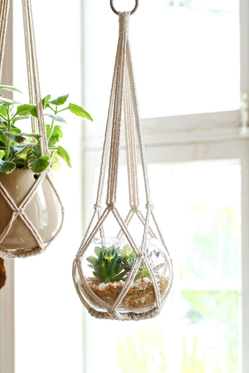 Dahey indoor garden boho wall display illustrates versatile styling for living rooms or balconies.