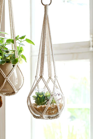 Dahey indoor garden boho wall display illustrates versatile styling for living rooms or balconies.