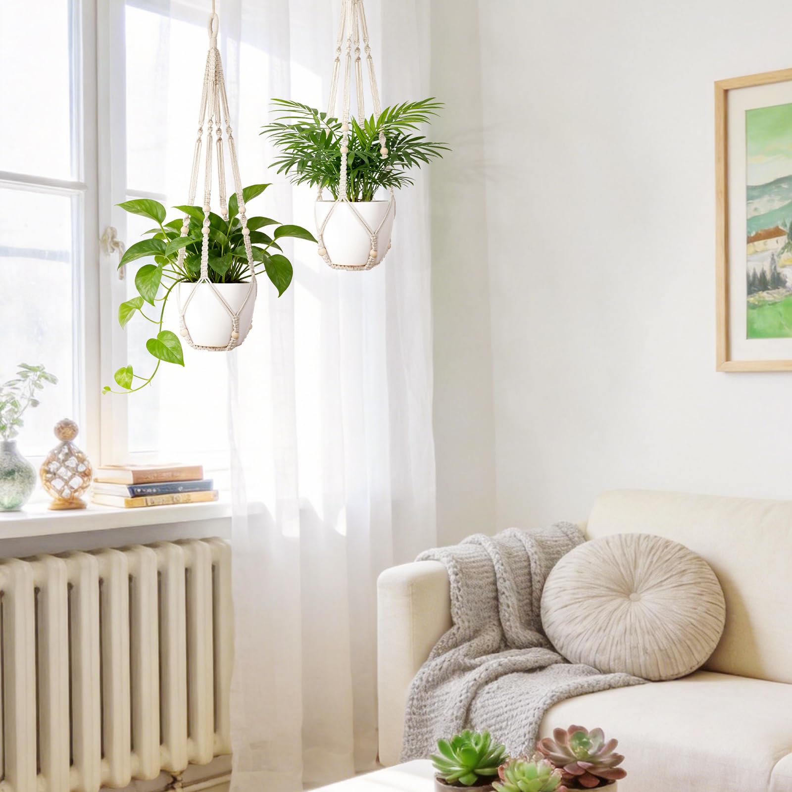Dahey hanger displayed indoors and outdoors for versatile plant presentation.