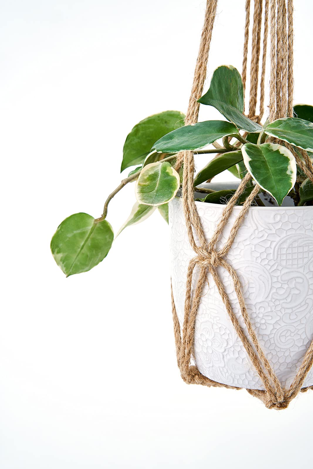 Dahey macrame hanger in boho decor style, complements living spaces