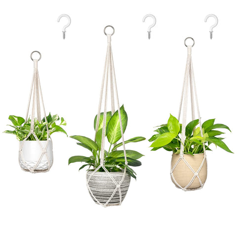 Dahey macrame plant hanger 23inch cream displaying a compact, space-saving indoor greenery setup.