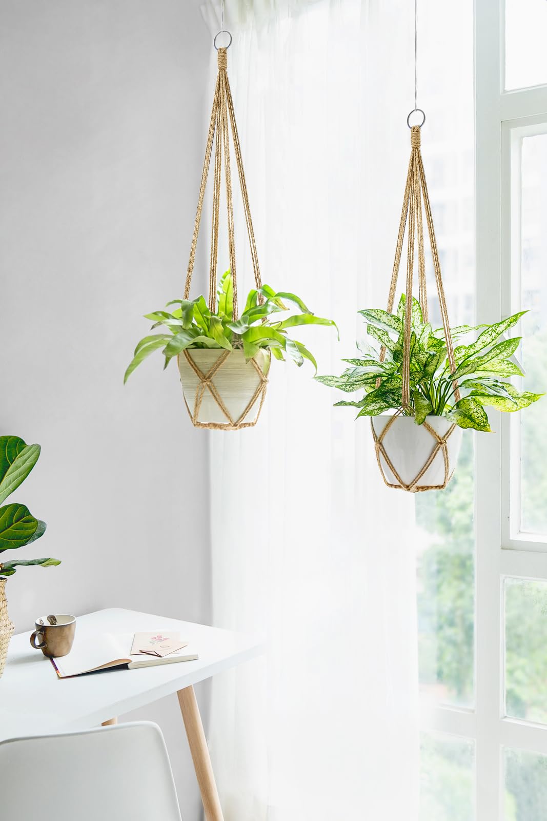 Dahey macrame plant hanger with ring, easy to install and maintain.
