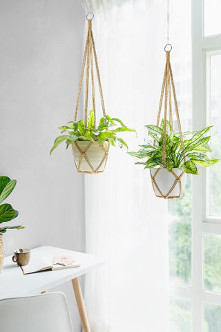 Dahey macrame plant hanger with ring, easy to install and maintain.