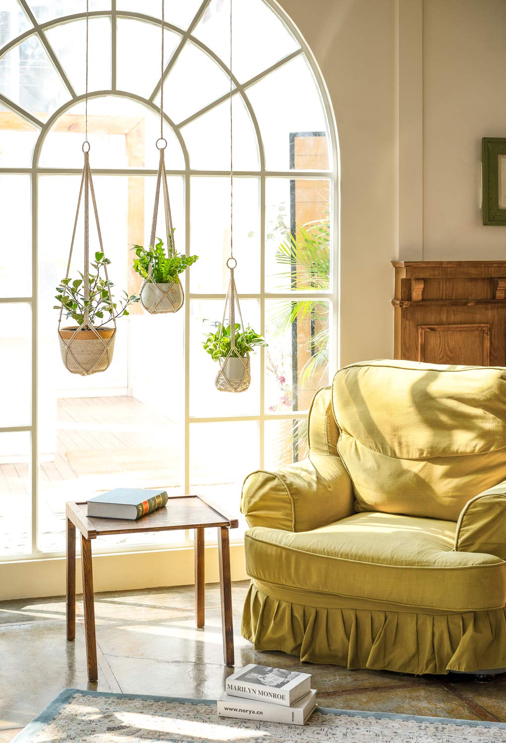 Dahey macrame plant hanger 35inch cream showcases tall greens and dramatic vertical decor.