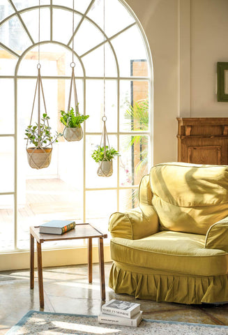 Dahey macrame plant hanger 35inch cream showcases tall greens and dramatic vertical decor.