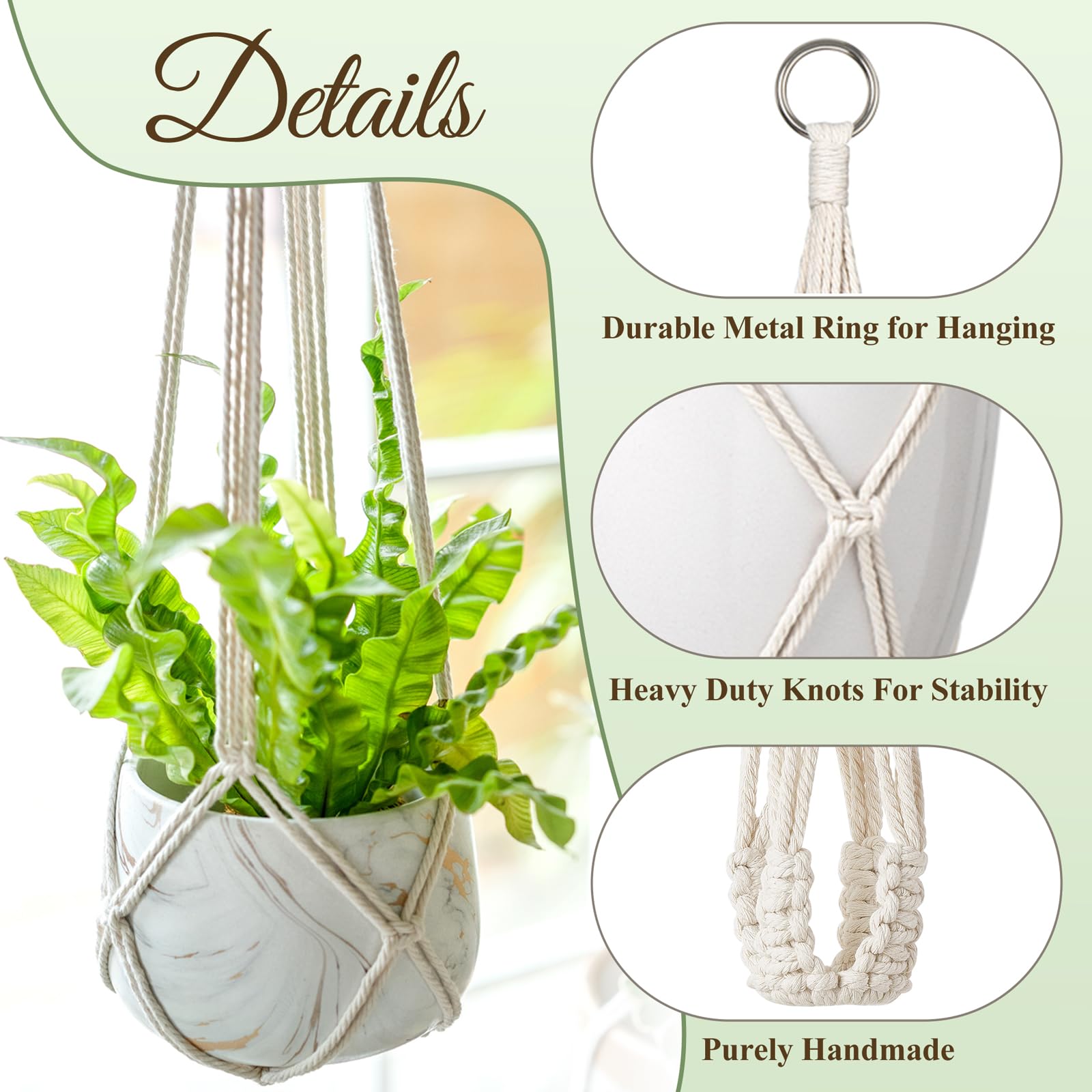 Dahey plant pot holder water-friendly design helps easy maintenance and watering.