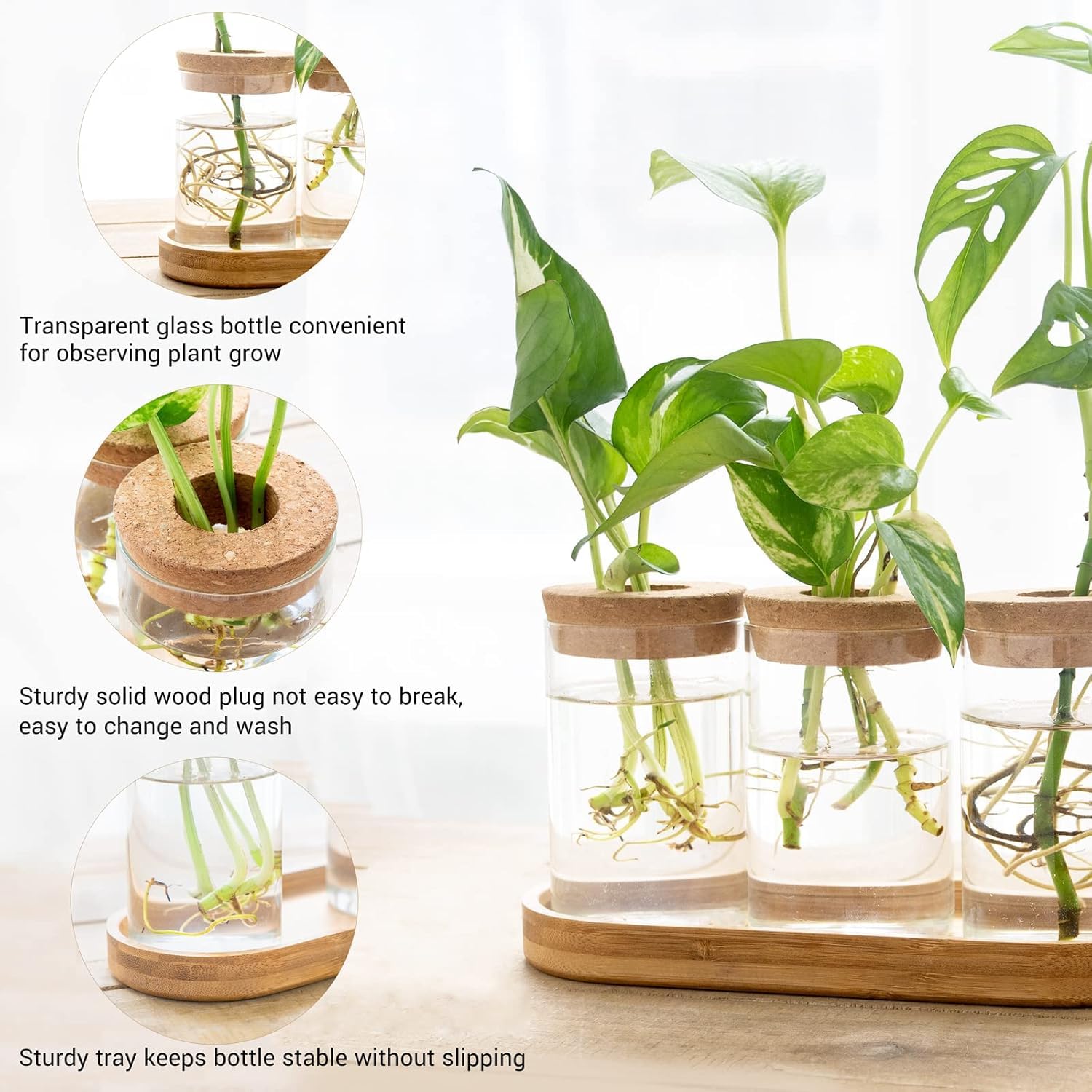 Dahey multipack vase for micro-landscape displays and table decor.