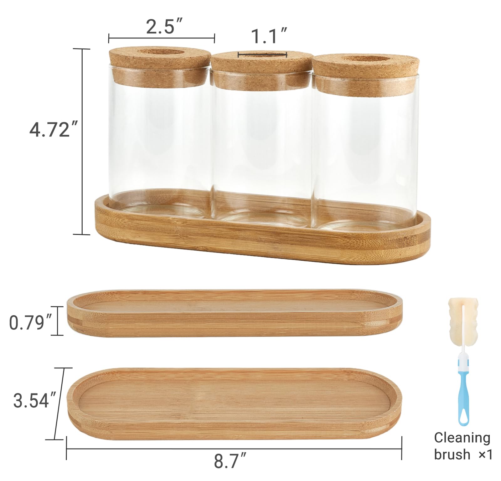Dahey propagation terrarium on a desk, modern home decor.