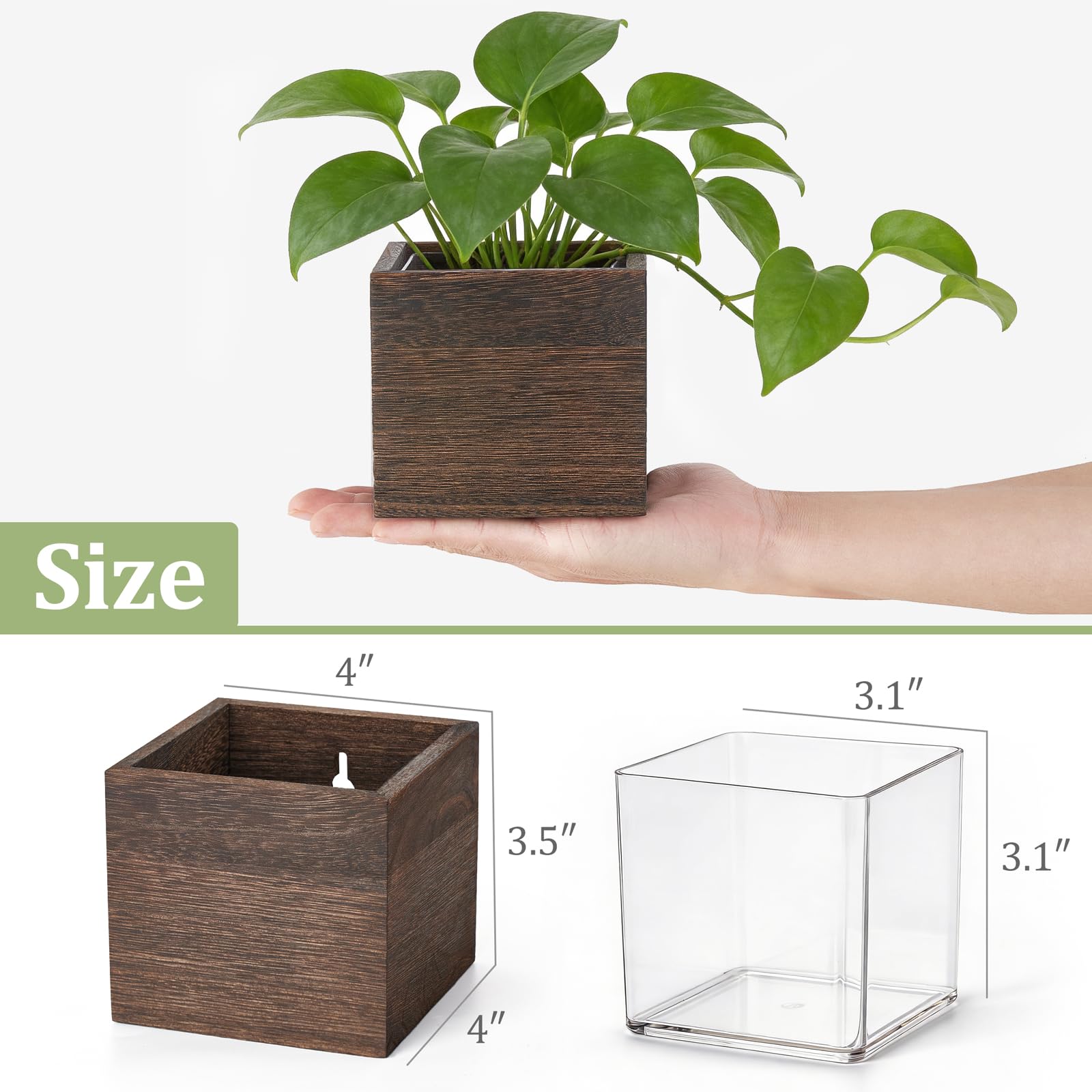 Dahey planter box with removable liner protects wood and keeps plants tidy.