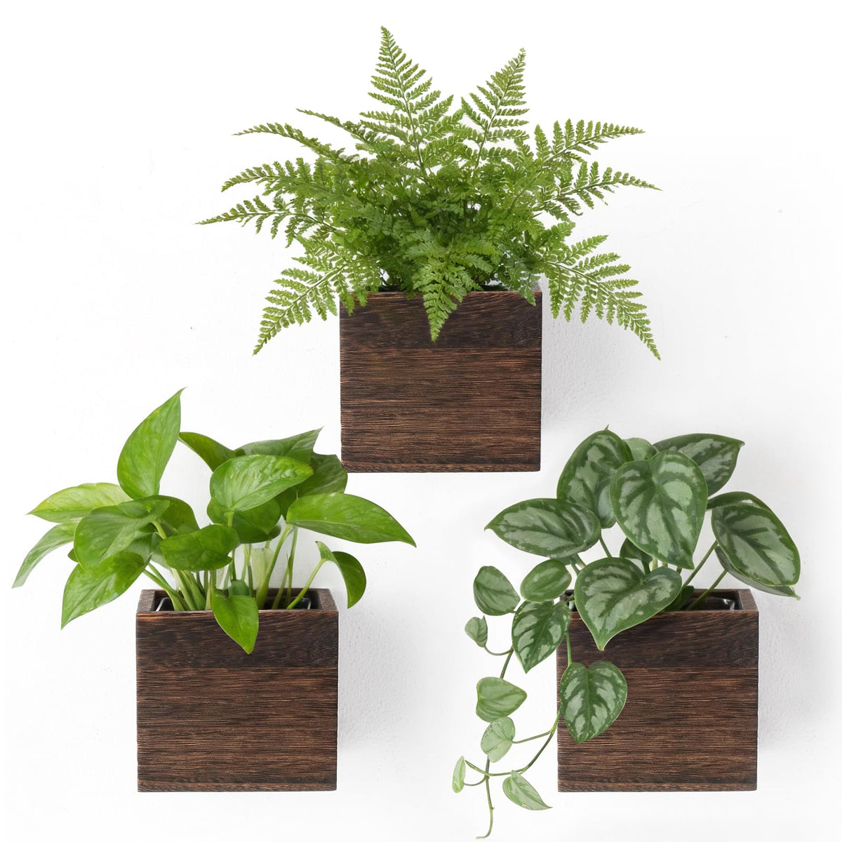 Dahey small wood wall planter boxes with liners add rustic charm to indoor spaces.