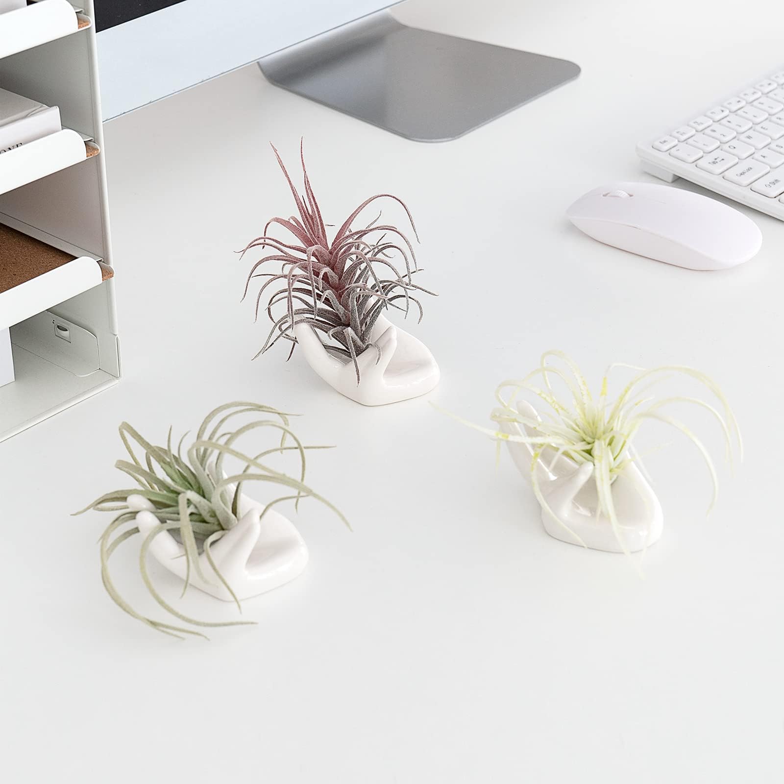 Dahey small air plant container, white hand shape for desks.