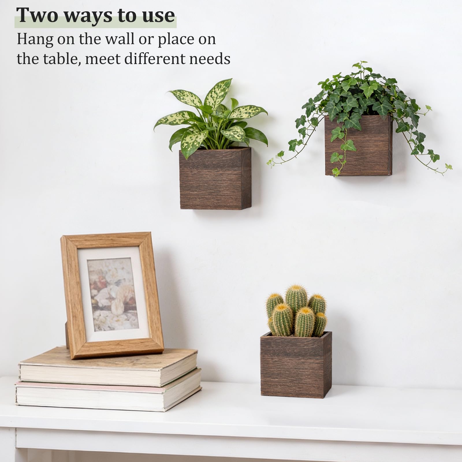 Dahey square planter sits on desk or wall to save space.