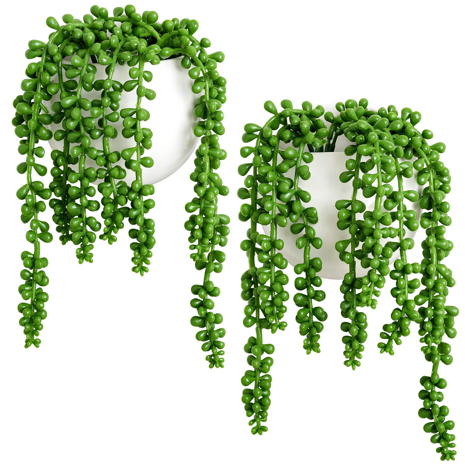 Dahey wall planters with string-of-pearls hanging for easy vertical greenery