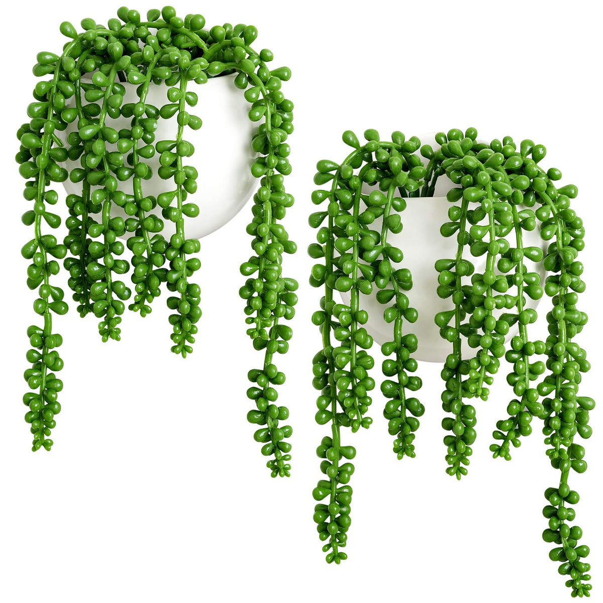 Dahey wall planters with string-of-pearls hanging for easy vertical greenery