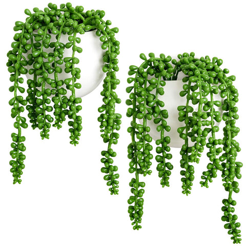 Dahey wall planters with string-of-pearls hanging for easy vertical greenery