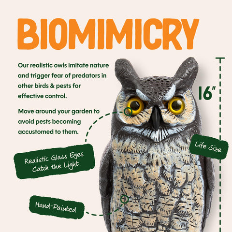 Dalen hollow-base owl decoy secured with sand or gravel for stability in wind.