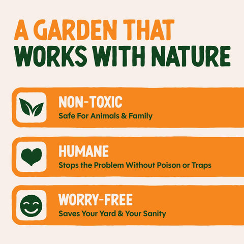 Dalen natural enemy scarecrow owl for humane pest deterrence.