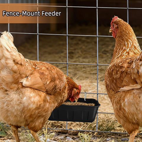 DallerSoode compact 1.3 qt capacity ideal for small flocks
