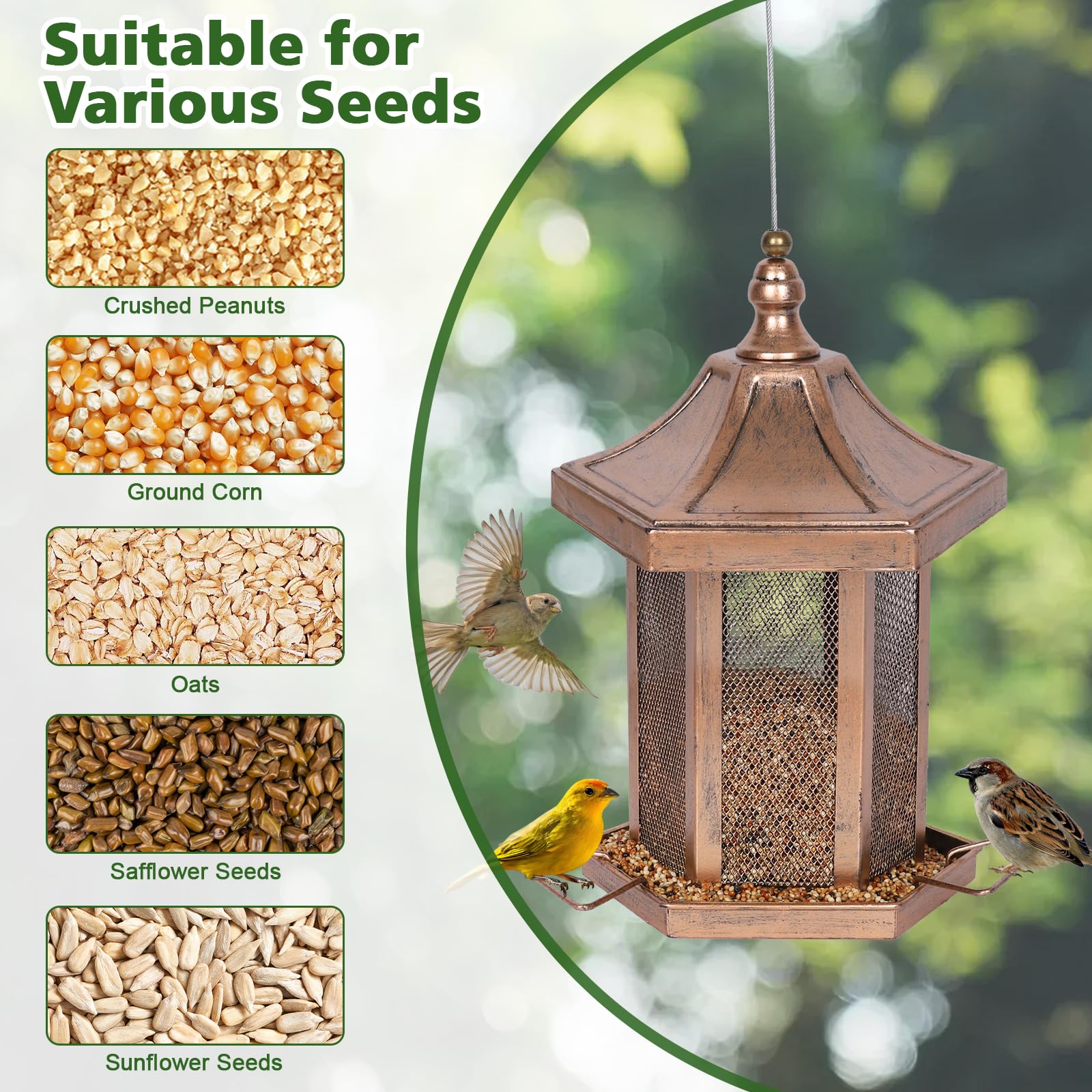 DALOHOMI backyard stylish bird feeder enhances outdoor space and bird activity