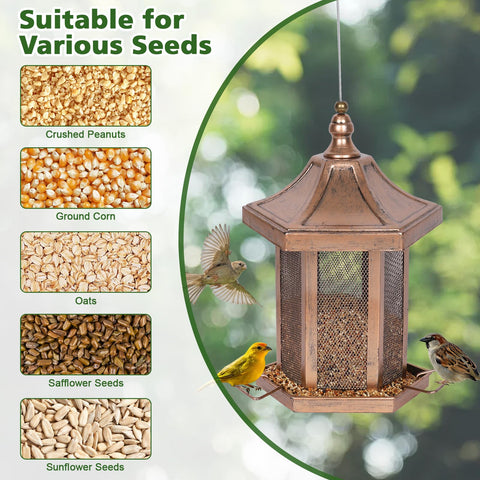 DALOHOMI backyard stylish bird feeder enhances outdoor space and bird activity