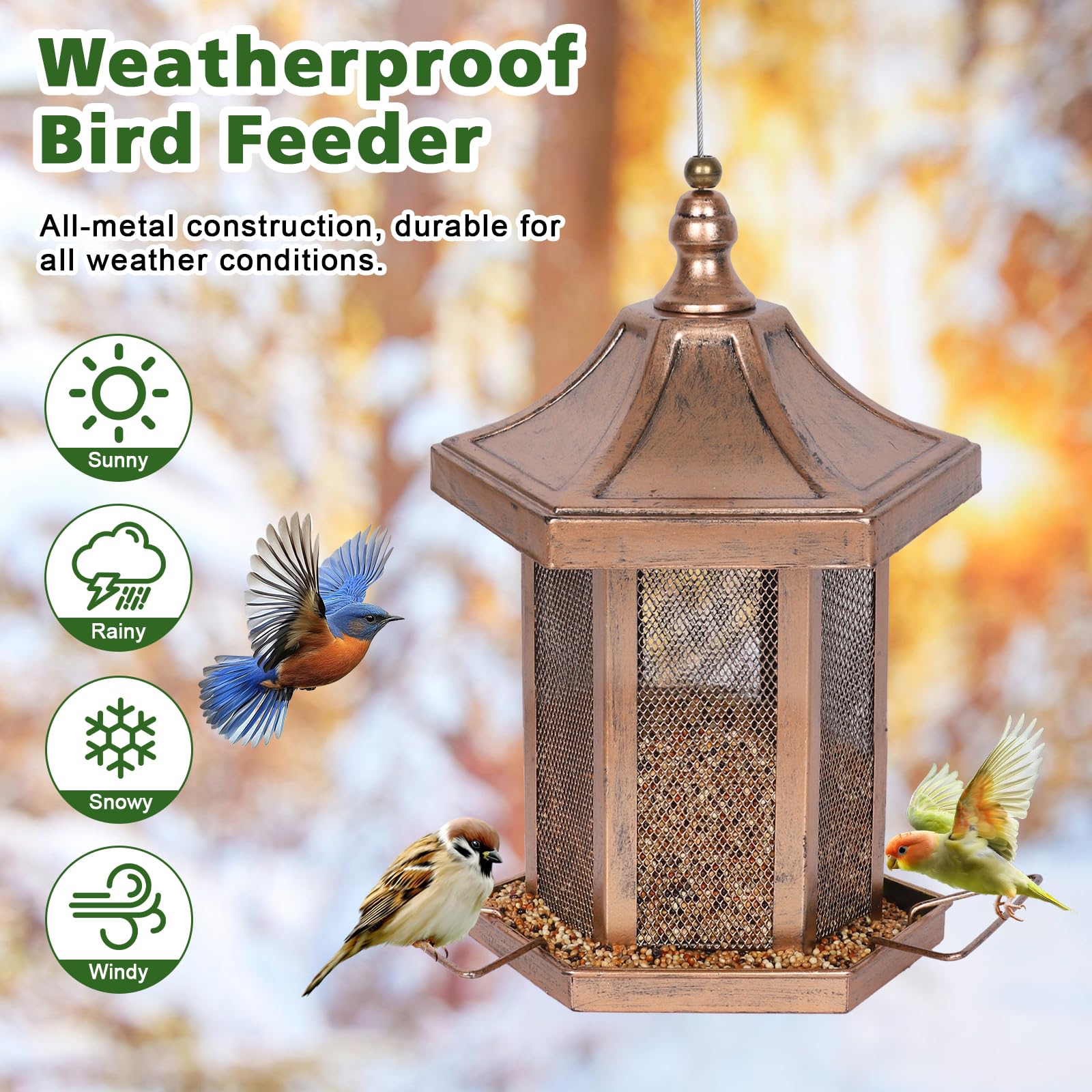 DALOHOMI hanging outdoor bird feeder showcases garden decor and wildlife watching