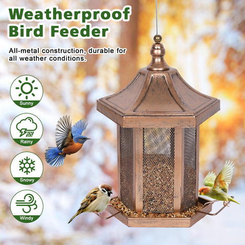 DALOHOMI hanging outdoor bird feeder showcases garden decor and wildlife watching
