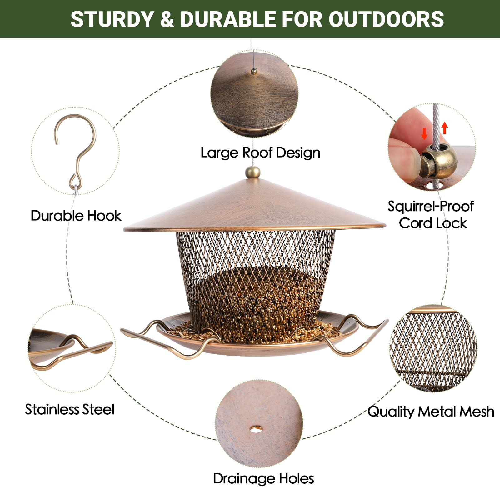DALOHOMI large-capacity 3lb bird feeder keeps seeds accessible