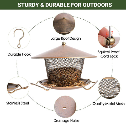 DALOHOMI large-capacity 3lb bird feeder keeps seeds accessible