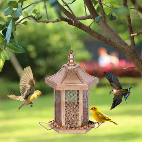 DALOHOMI metal construction bird feeder shows durable, rust-resistant build for year-round use