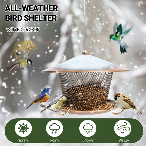 DALOHOMI squirrel-proof bird feeder with cord lock deters chewing
