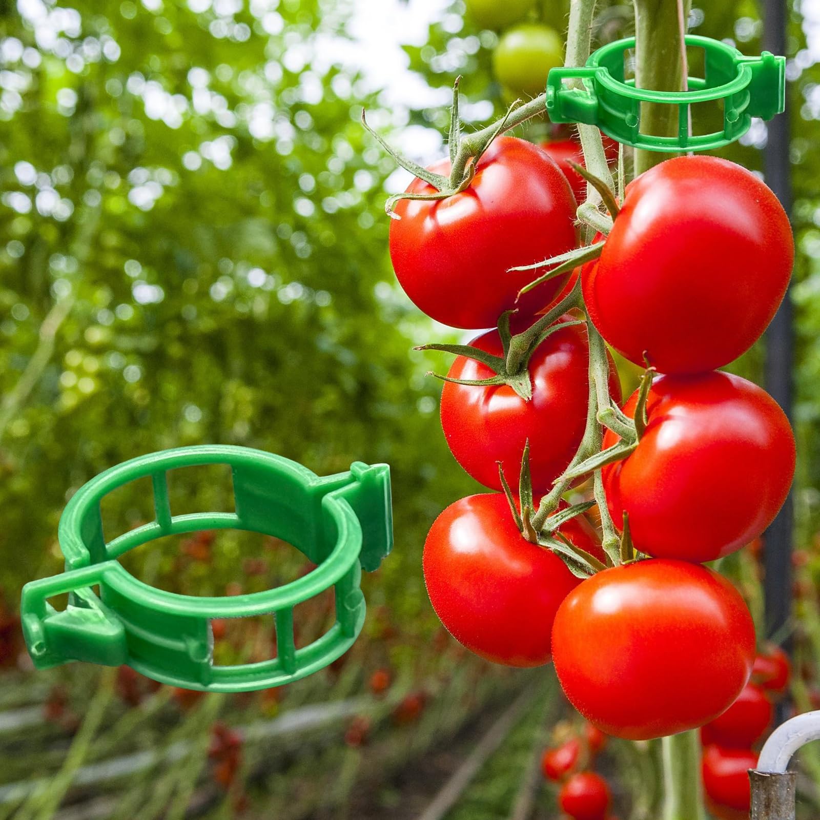Dalzom 300Pcs tomato clips pack secures tomato stems for upright growth