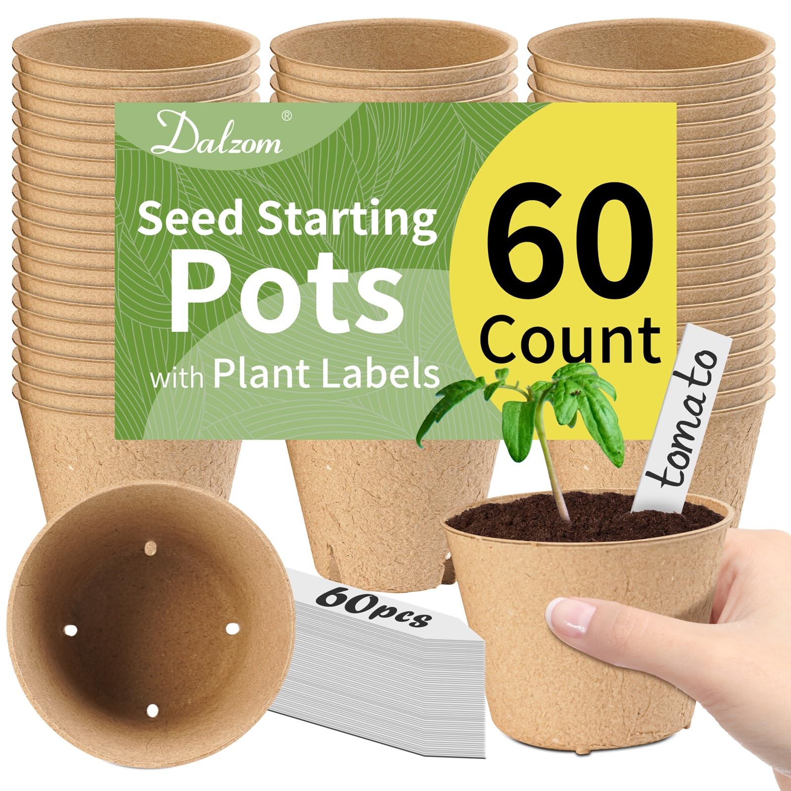 Dalzom 4-inch peat pot top view ideal for seed starting