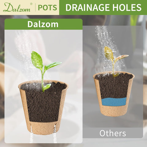 Dalzom biodegradable pots reduce waste in the garden.
