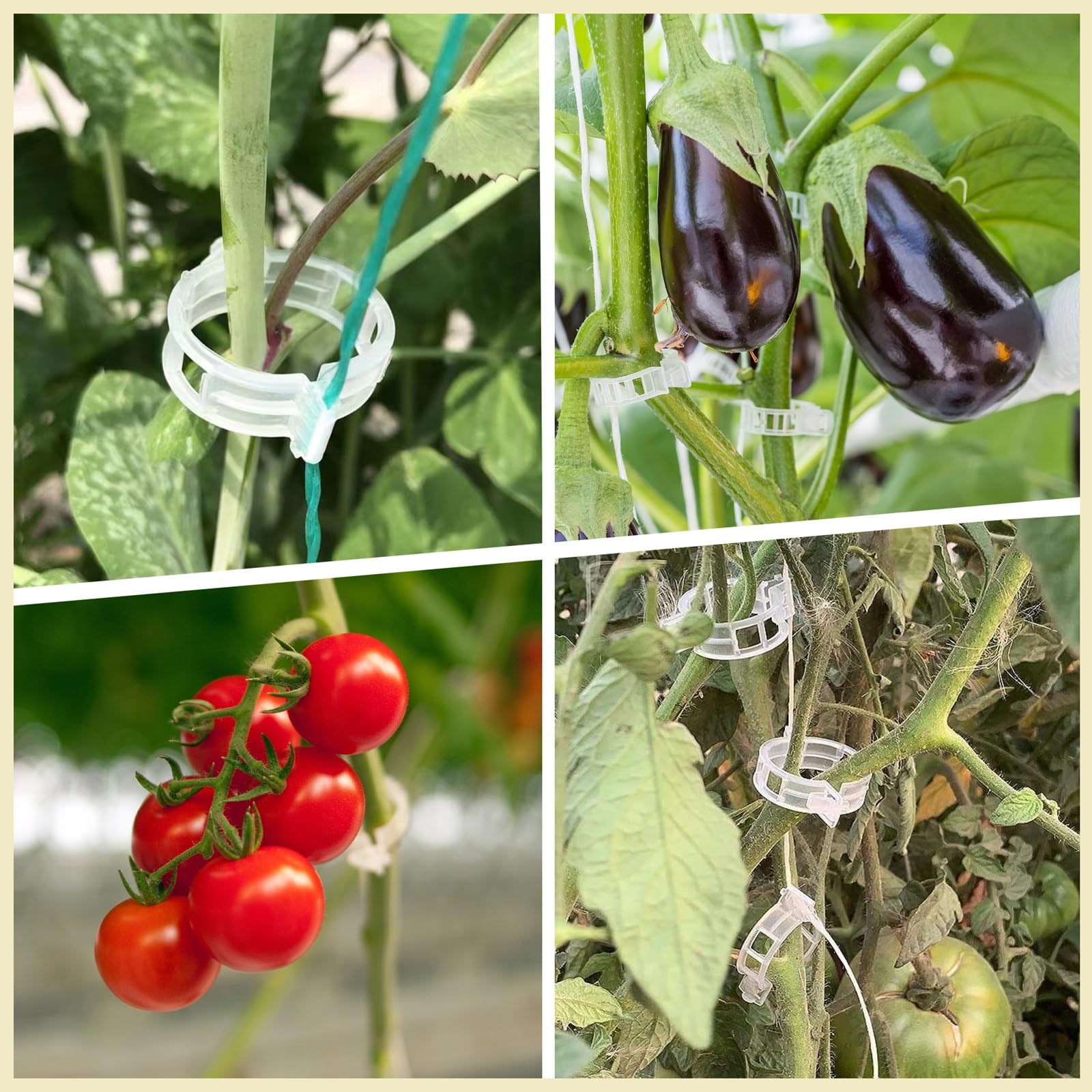 Dalzom cucumber pepper clip for supporting vines during harvest