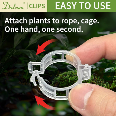 Dalzom garden clips for effortless vertical training of veggies