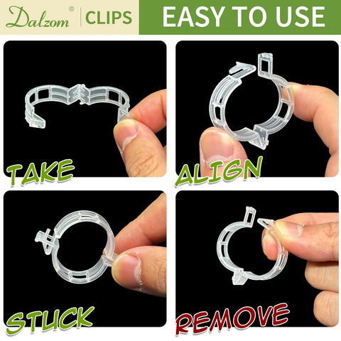 Dalzom grape vine clip secures fruit-bearing vines along supports