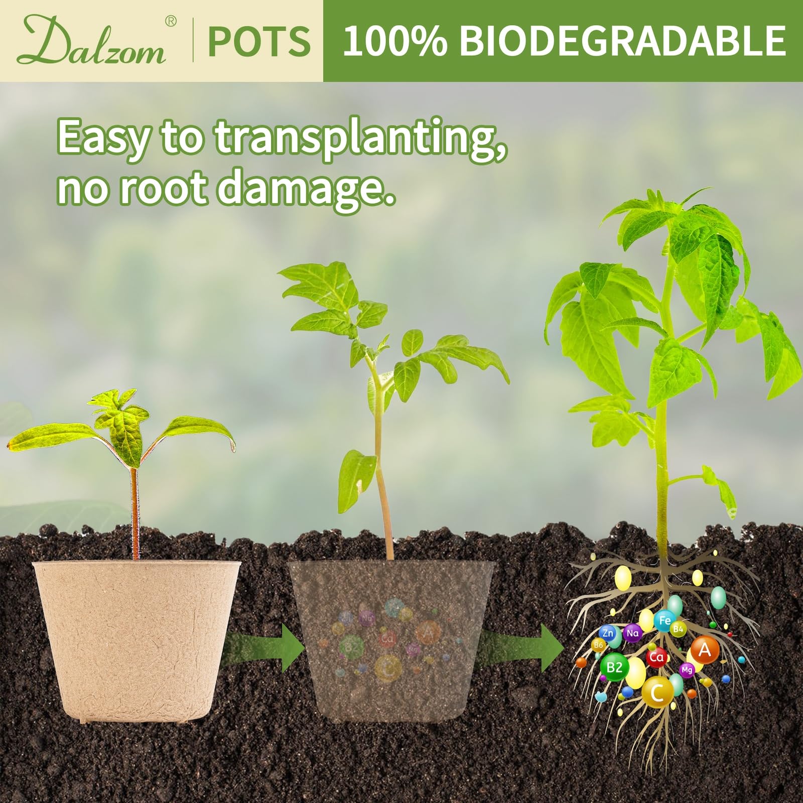 Dalzom recycled pulp peat pot texture and quality