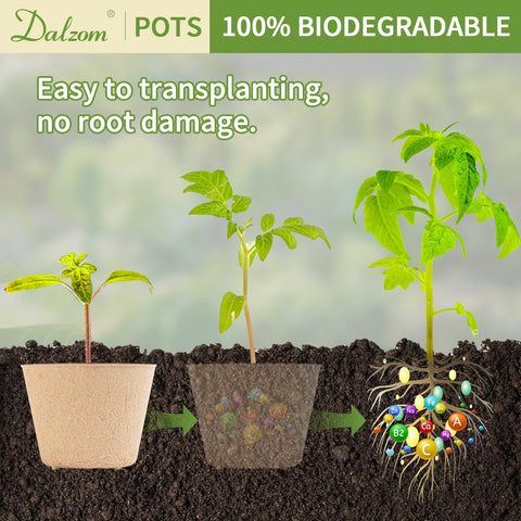 Dalzom recycled pulp peat pot texture and quality
