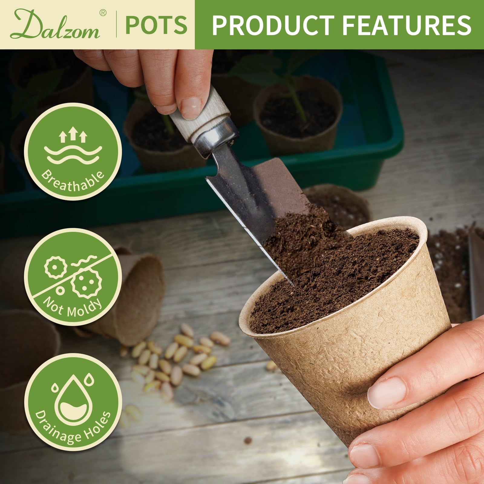 Dalzom seed starting pots with drainage holes for transplanting.