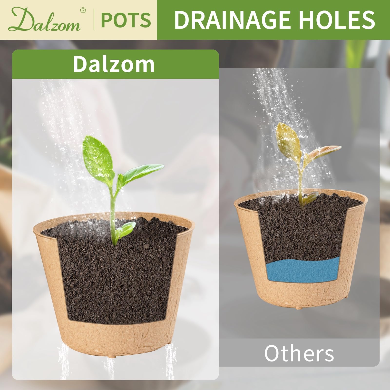 Dalzom seed starting tray pack ready for germination