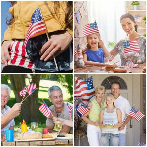 DanCoom 4x6-inch flags for indoor or outdoor use.