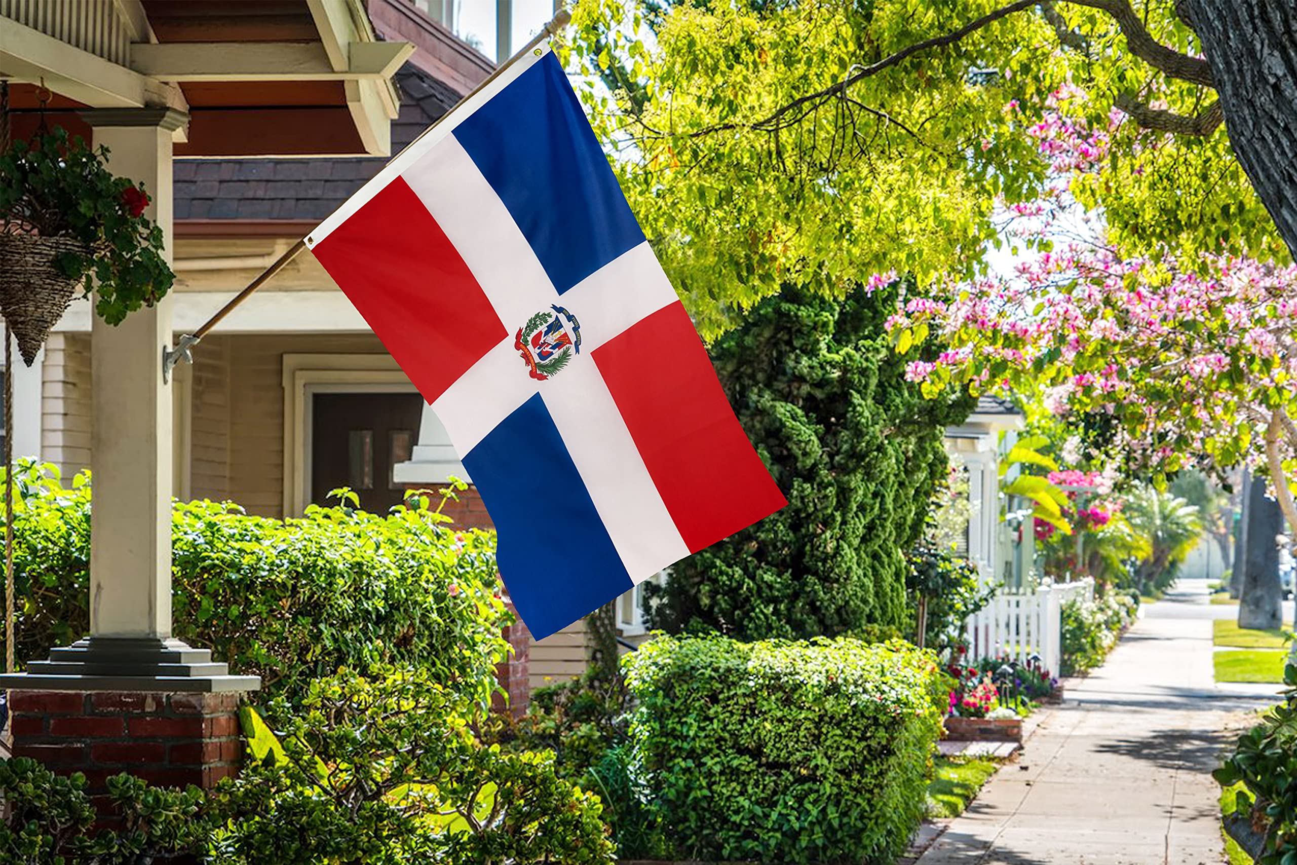 DANF Dominican Flag used as party decor for celebrations